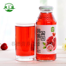 石榴汁果汁健胃养生饮品饮料轻断食 阿娜尔汗石榴汁20瓶装(整箱)