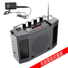 圣韵浪逸v306无线二胡扩音器2.4g二胡拾音器便携式立体声户外专用多功能乐器音箱 新款V309带蓝牙三喇叭【主机+领式夹套+U盘】