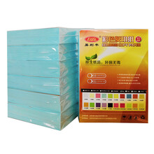 elifo 500张彩色打印纸蓝色a4纸 浅蓝色纸a4彩纸幼儿园儿童手工纸折纸复印纸彩色纸彩打纸彩印纸剪纸70克