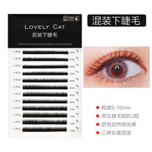 【带胶水镊子】eaun虞书欣同款假睫毛女超自然分段朵毛单簇鱼尾燕尾嫁接仙子毛A型仙女毛假睫毛胶水 下睫毛混装【5、6、7】此款不带胶水镊子