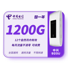 中国电信 流量卡0月租不限速全国通用累计包年卡4G流量卡上网卡手机电脑监控平板用上网卡流量包年4G卡 【中兴电池款】电信1200G流量卡（12个月有效）