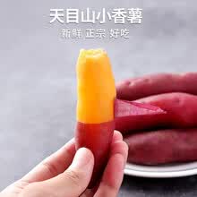 临安天目山小香薯地瓜板栗红薯新鲜现挖蔬菜根茎类生鲜小番薯健康轻食 【精选小号】小香薯5斤