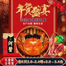【盘锦馆】盘家人 中秋盘锦河蟹稻田蟹  鲜活海鲜水产 大闸蟹特大全母盘锦河蟹礼盒装顺丰空运直达冷链 2.0-2.4母蟹5只 + 3.0-3.4公蟹5只