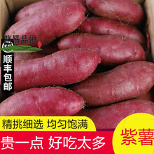 【顺丰】新鲜紫薯板栗地瓜番薯小蜜薯10斤山芋农家自种沙地红薯5 5斤精品