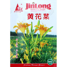 黄花菜种子种籽菜金针菜菜籽蔬菜种苗孑籽种根四季种植菜种食用苗 【黄花菜种子50粒原装】*3袋