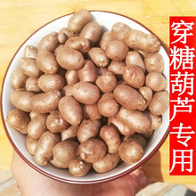 铁棍山药豆5斤/9斤新鲜 大号山药蛋糖葫芦淮怀 山药仔籽 9斤