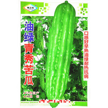 油绿青秀苦瓜种子口感好早熟油绿耐热抗病农家春秋播种精选苦瓜种 油绿青秀苦瓜原装5克x10袋