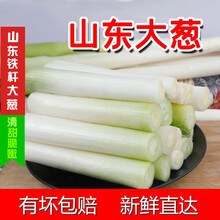山东大葱章丘新鲜蔬菜铁杆长葱嫩葱精心挑选整箱新鲜直达2 /3 /5 /10斤 2500g