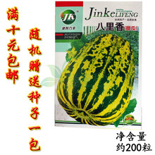 菜友各种甜瓜种子  大田菜园高产易种甜脆肉厚甜瓜菜瓜香瓜瓜果籽 津科力丰八里香甜瓜200粒/袋
