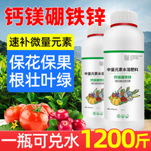 钙镁硼铁锌 保花保果 根壮叶绿 速补微量元素钙镁硼铁锌微生物肥料 钙镁硼铁锌/600g±50g/瓶
