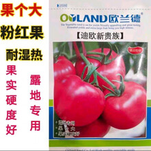 迪欧新贵族露地番茄种籽欧兰德进口西红柿种子 高产量10克 10克约3000粒【迪欧新贵族】耐湿热，耐裂，粉红