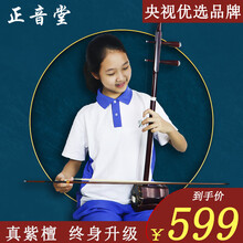 正音堂 精制二胡乐器 苏州考级紫檀二胡乐器胡琴专业演奏成人二胡 可入门初学练习也可以进阶考级专业演奏 紫檀二胡+黑色琴盒