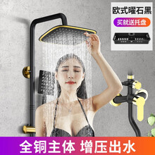 家韵黑金淋浴花洒套装全铜洗澡卫浴沐浴淋浴花酒家用淋雨恒温喷头 JD快递黑金方形三挡套装