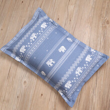 单人荞麦枕头一只装荞麦皮枕芯颈椎枕学生家用舒适荞麦壳护颈枕头 异域风情（粗布）