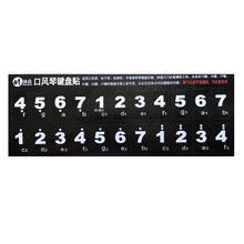 口风琴管子 阿波罗口风琴吹管 吹嘴A型B型通用管子M32键M37键口风琴 键盘贴1张