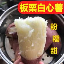现挖白心板栗红薯沙地蜜薯生态新鲜地瓜山芋番薯2/5/10斤粉糯面甜 带箱9.5-10斤大果