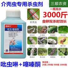 蚧壳虫专用药蚧必治介壳虫果树多肉花卉通用吡虫噻嗪酮农药杀虫剂 1000g