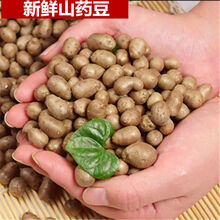 河北正宗垆土铁棍小白嘴山药豆粉糯香甜【3斤装5斤装】 5斤装