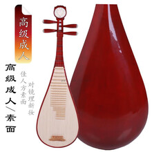 琵琶乐器初学入门成人儿童弹拔红木琵琶演奏民族乐器花梨木考级 成人基础版素面