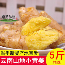 云南小黄姜生姜新姜5斤现挖老土姜月子姜批发生姜新鲜嫩姜 3斤小黄姜