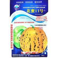 浪潮花蜜11号甜瓜种子早熟高糖多果高产不早衰农家春秋播种精选种 浪潮花蜜11号原装500粒