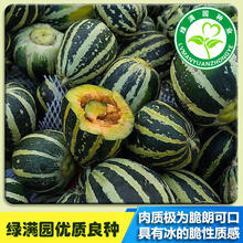 冰糖子花皮甜瓜种子 抗病耐热耐低温 冰脆爽口 甜掉牙 香甜瓜种子 200粒原装
