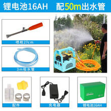 花田趣喷雾器电动农用手提便携式打药机弥雾自吸洗车浇菜抽水机高压水泵大功率农用果树打药泵 50米出水管(16安锂电池)手提泵（高压管）
