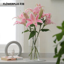 FlowerPlus花加单品鲜花水养瓶插花装饰云南基地直发速递 2头百合5枝，颜色随机