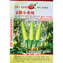 皖北阳光玉脂小米辣辣椒种子早熟浓辣油亮多果高产耐热农家春秋播 玉脂小米辣原装5克x5袋