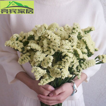 云南勿忘我满天星干花花束花真花插花装饰客厅摆件花卉礼物 黄色 10支体验装