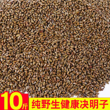 小孩子玩的沙子决明子沙彩石沙小孩雪花沙仿瓷沙大颗粒 10斤决明子 除尘抛光