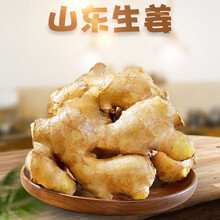 【信宜馆】广东茂名沙姜嫩 山东云南老生姜新鲜正宗特产白切鸡山奈农家小黄姜大香浓3斤5斤 山东生姜3斤 新鲜