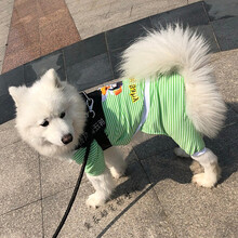 边牧衣服夏装狗衣服四脚防蚊春夏薄背心中大型犬防掉毛防晒金毛萨摩耶春30斤80 搭啵兔 春夏薄款四脚绿摁扣 3XL胸围60背长45(建议19至24斤)