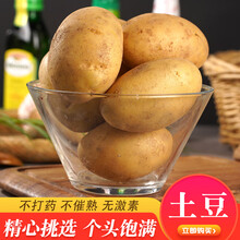 【轻食】绿鲜人家 山东土豆新鲜大马铃薯 黄心小洋芋 新鲜蔬菜 9斤