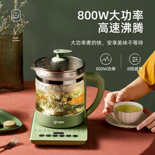 艾美特（AIRMATE）养生壶煮茶器花茶壶家用煮茶壶煎药壶中药锅烧水壶中药壶电热水壶煎药锅蒸茶器 AMT650 【含蒸蛋架】