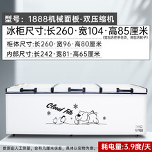 卧式大冰柜商用大容量家用节能冷藏冷冻柜单双温速冻冷柜冰箱 1888单温尊享款-双机2600x1030x850