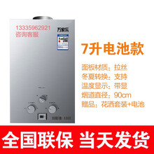 燃气热水器家用天然气强排即热式液化气煤气6升8升10升12L可第 7升电池款+电池：不包安装 液化石油气