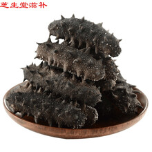 【官方旗舰】海参刺参淡干小海参干货大连辽参 10只 刺参【2-2.5cm/只】