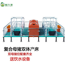 猪升源 母猪复合双体产床2.2厚热镀锌产崽保育两用养殖场猪场器具设备 2.2厚 经济款2.2m*3.8m（焊口不喷漆）