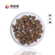 康益强 化痰药 祛痰消痰寒痰湿痰热痰燥痰中药饮片中药材道地药材药典标准干净无杂无硫熏 胖大海 100g