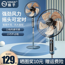 扬子18英寸落地扇大风力工业风扇家用强力商用大功率机械立式电风扇 18寸四档强风【铝叶】机械款