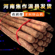 焦作温县铁棍山药正宗怀山药铁杆山药新鲜蔬菜河南特产 粉糯香甜 5斤【65-75】铁棍山药