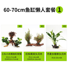 绿伴 鱼缸装饰造景套餐真水草活体沉木后景草缸植物淡水小水榕养鱼懒人 60-70cm鱼缸懒人套餐1
