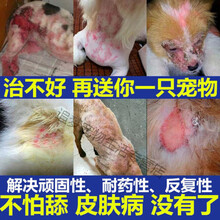猫狗真菌皮肤病猫藓外用药皮炎湿疹尤米猫癣药猫狗喷剂宠物除螨虫喷雾狗狗皮肤病治螨虫癣掉毛喷剂杀螨止痒