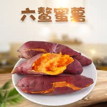 现货5斤装福建六鳌红薯 新鲜现挖香甜沙地蜜番薯红苕地瓜非烟薯 5斤净重大果