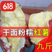 洪洞红薯干面甜红皮黄白心粉面山芋板栗番薯红苕新鲜现挖五斤九斤G 九斤干面红薯(3到8两中小果)