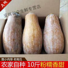 【云南高原】新鲜甜糯老南瓜农家香甜黄南瓜小南瓜 南瓜8斤左右