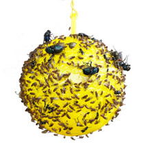 大实蝇诱蝇球粘虫球黄板果树花园灭苍蝇食蝇贴针蜂果蝇诱捕器 家用水果店5个装配苍蝇果蝇小飞虫专用诱芯