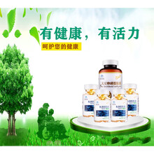 大豆卵磷脂胶囊dha通血管高血压心脑血管鱼油 澳福来 【买就贈360粒鱼油】卵磷脂300粒 血脂偏高者