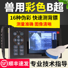 猪博士b超机 猪用b超机兽用B超测孕仪 母猪b超机 便携式彩超机牛羊用妊娠诊断仪 16色 电子探头b超【高配版】(猪/羊/犬)